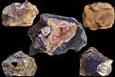 opal jasper0004.jpg